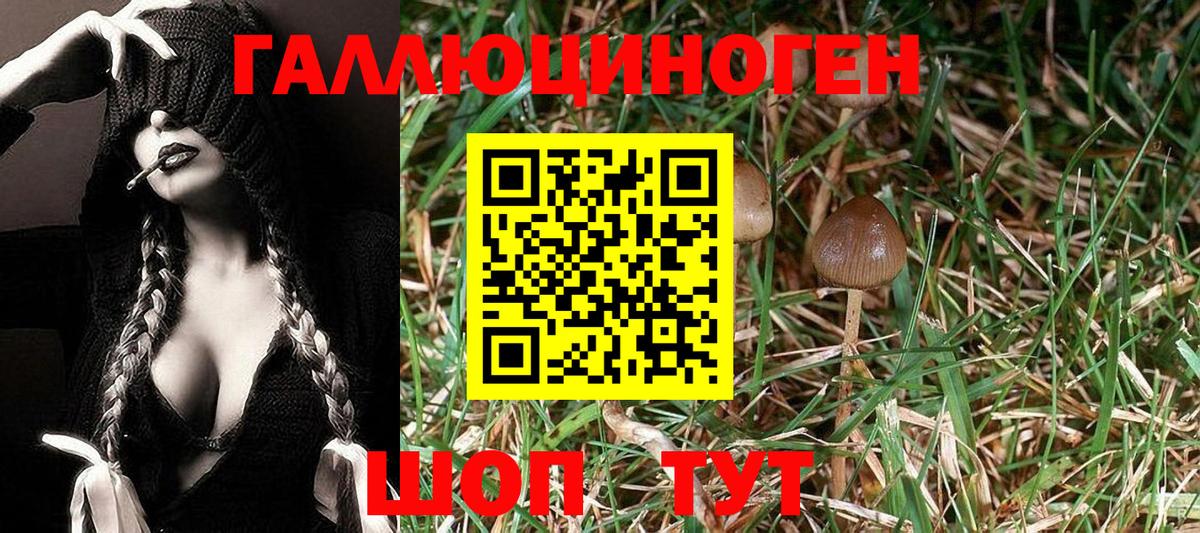 Вышний Волочёк  цена наркотик  Вход с VPN  Галлюциногенные грибы Cubensis  Псилоцибиновые грибы Psilocybine cubensis 